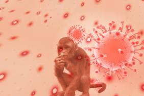 Que savons-nous des risques liés à la variole du singe pendant la grossesse ?