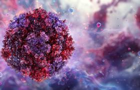 Erythème infectieux : l’infection par le Parvovirus B19 à la loupe
