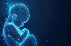 Morts foetales : chiffres et recommandations du CNGOF