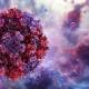 Erythème infectieux : l’infection par le Parvovirus B19 à la loupe