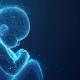 Morts foetales : chiffres et recommandations du CNGOF