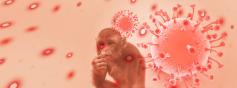 Que savons-nous des risques liés à la variole du singe pendant la grossesse ?