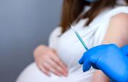 Vaccin à ARN contre la Covid-19 : pas de risque immédiat pendant la grossesse