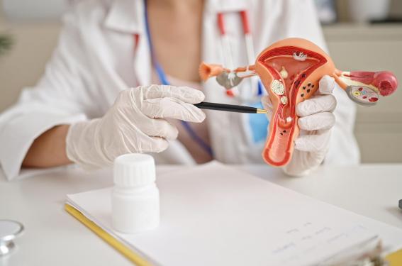 Grossesse après chirurgie pour endométriose profonde : quel risque de rupture utérine ?
