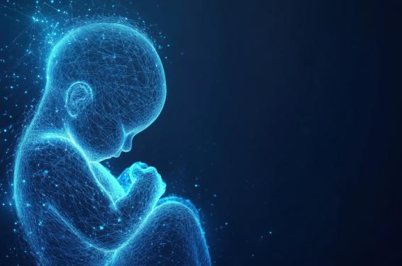 Morts foetales : chiffres et recommandations du CNGOF